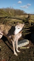 /album/fotogalerij/ik-mag-ook-eens-op-de-foto-jpg/